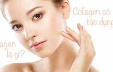 “Những thực phẩm giàu collagen tốt cho sức khỏe và cho da
